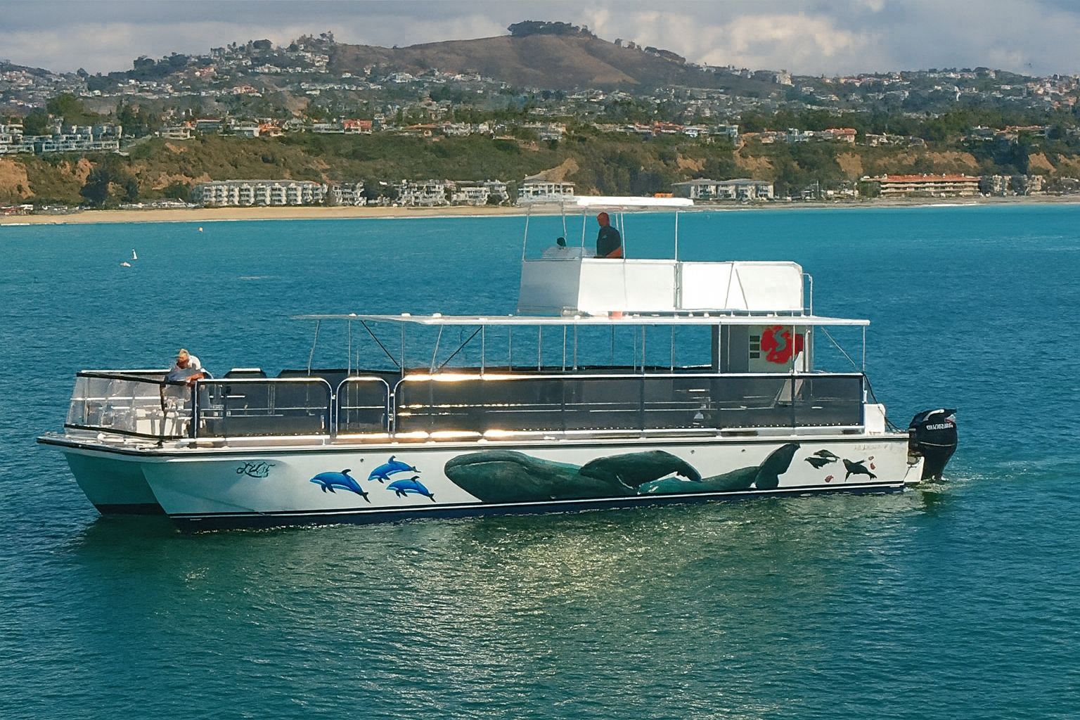 50' handicap-accessible catamaran in Dana Point